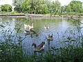 Copie de IMG_0308.jpg